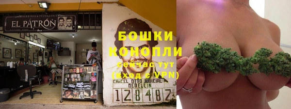 молекула духа Покачи