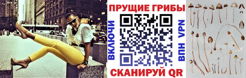 Галлюциногенные грибы прущие грибы  Озёрск 